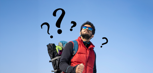 Who is the NSF and why are they important?